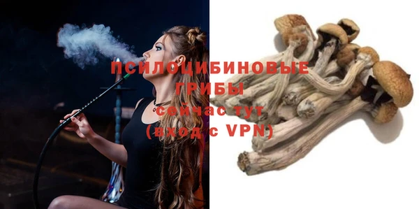 СК Алексин