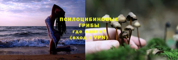 СК Алексин