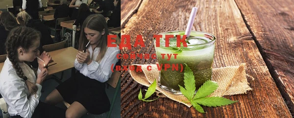 СК Алексин