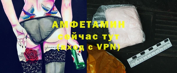 СК Алексин