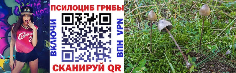 Галлюциногенные грибы Cubensis  hydra зеркало  Уяр 